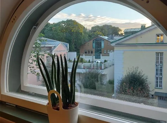 Appartement Modern History *